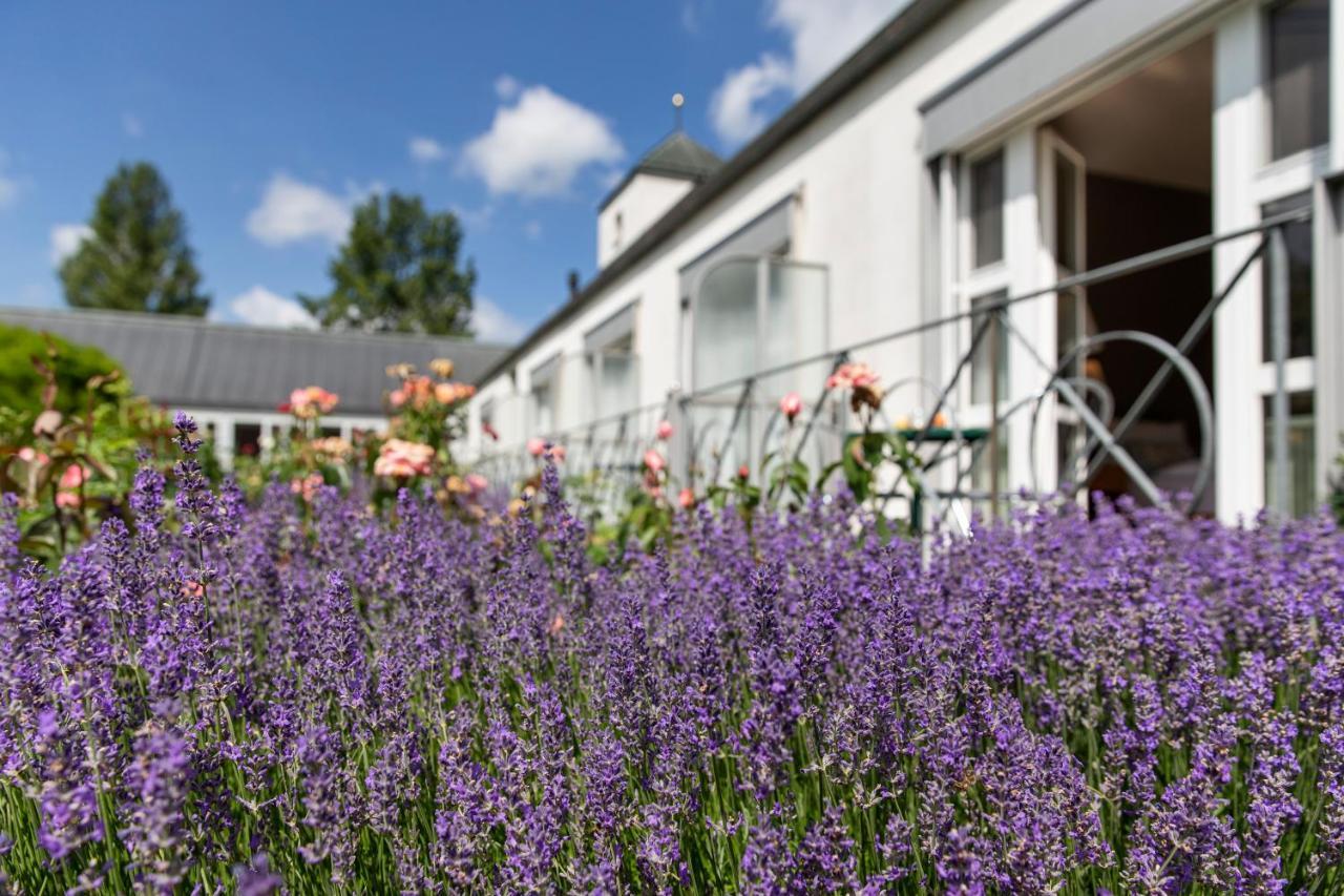 See & Park Hotel Feldbach Steckborn Exterior foto